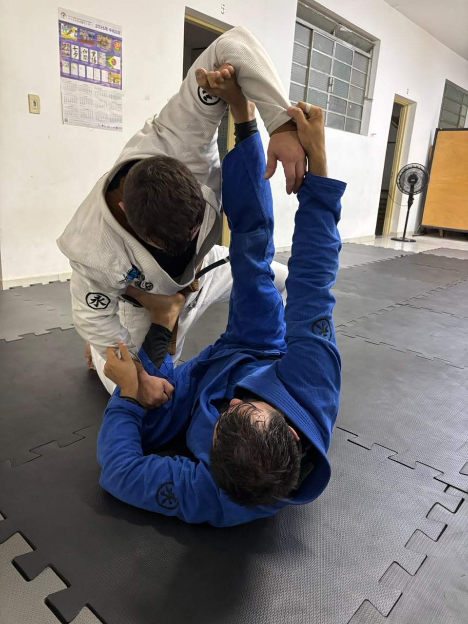 Guarda Aranha: história, fundamentos e evolução no Jiu-Jitsu